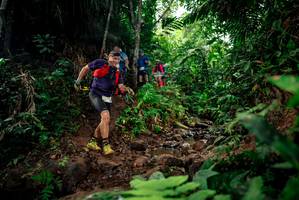 BIB: 
                            <button type="button" onclick="openModal(24786785)" class="btn btn-primary btn-sm float-right btn-popup" data-toggle="modal" data-target=".modal-high-quality">
                        <i class="fas fa-shopping-cart"></i> Add to Cart
                    </button>
                                            <button type="button" onclick="isThisMe(24786785, true)" class="btn btn-success btn-sm float-right btn-popup btn-isme hidden" data-toggle="tooltip" data-placement="bottom" title="นี่คือรูปของคุณใช่ไหม คลิกที่นี่เพื่อเอาเข้าอัลบั้ม">
                        <i class="fas fa-plus"></i> Add to album
                    </button>
                    <button type="button" onclick="isThisMe(24786785, false)" class="btn btn-warning btn-sm float-right btn-popup btn-isnotme hidden">
                        <i class="fas fa-ban"></i> Remove from album
                    </button>