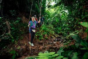 BIB: 
                            <button type="button" onclick="openModal(24788017)" class="btn btn-primary btn-sm float-right btn-popup" data-toggle="modal" data-target=".modal-high-quality">
                        <i class="fas fa-shopping-cart"></i> Add to Cart
                    </button>
                                            <button type="button" onclick="isThisMe(24788017, true)" class="btn btn-success btn-sm float-right btn-popup btn-isme hidden" data-toggle="tooltip" data-placement="bottom" title="นี่คือรูปของคุณใช่ไหม คลิกที่นี่เพื่อเอาเข้าอัลบั้ม">
                        <i class="fas fa-plus"></i> Add to album
                    </button>
                    <button type="button" onclick="isThisMe(24788017, false)" class="btn btn-warning btn-sm float-right btn-popup btn-isnotme hidden">
                        <i class="fas fa-ban"></i> Remove from album
                    </button>