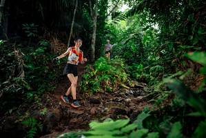 BIB: 
                            <button type="button" onclick="openModal(24784240)" class="btn btn-primary btn-sm float-right btn-popup" data-toggle="modal" data-target=".modal-high-quality">
                        <i class="fas fa-shopping-cart"></i> Add to Cart
                    </button>
                                            <button type="button" onclick="isThisMe(24784240, true)" class="btn btn-success btn-sm float-right btn-popup btn-isme hidden" data-toggle="tooltip" data-placement="bottom" title="นี่คือรูปของคุณใช่ไหม คลิกที่นี่เพื่อเอาเข้าอัลบั้ม">
                        <i class="fas fa-plus"></i> Add to album
                    </button>
                    <button type="button" onclick="isThisMe(24784240, false)" class="btn btn-warning btn-sm float-right btn-popup btn-isnotme hidden">
                        <i class="fas fa-ban"></i> Remove from album
                    </button>