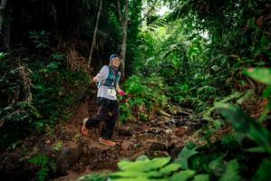 BIB: 
                            <button type="button" onclick="openModal(24785809)" class="btn btn-primary btn-sm float-right btn-popup" data-toggle="modal" data-target=".modal-high-quality">
                        <i class="fas fa-shopping-cart"></i> Add to Cart
                    </button>
                                            <button type="button" onclick="isThisMe(24785809, true)" class="btn btn-success btn-sm float-right btn-popup btn-isme hidden" data-toggle="tooltip" data-placement="bottom" title="นี่คือรูปของคุณใช่ไหม คลิกที่นี่เพื่อเอาเข้าอัลบั้ม">
                        <i class="fas fa-plus"></i> Add to album
                    </button>
                    <button type="button" onclick="isThisMe(24785809, false)" class="btn btn-warning btn-sm float-right btn-popup btn-isnotme hidden">
                        <i class="fas fa-ban"></i> Remove from album
                    </button>