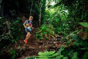 BIB: 
                            <button type="button" onclick="openModal(24784916)" class="btn btn-primary btn-sm float-right btn-popup" data-toggle="modal" data-target=".modal-high-quality">
                        <i class="fas fa-shopping-cart"></i> Add to Cart
                    </button>
                                            <button type="button" onclick="isThisMe(24784916, true)" class="btn btn-success btn-sm float-right btn-popup btn-isme hidden" data-toggle="tooltip" data-placement="bottom" title="นี่คือรูปของคุณใช่ไหม คลิกที่นี่เพื่อเอาเข้าอัลบั้ม">
                        <i class="fas fa-plus"></i> Add to album
                    </button>
                    <button type="button" onclick="isThisMe(24784916, false)" class="btn btn-warning btn-sm float-right btn-popup btn-isnotme hidden">
                        <i class="fas fa-ban"></i> Remove from album
                    </button>