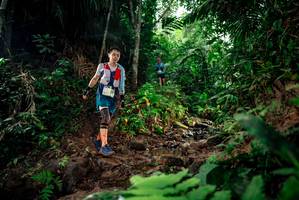 BIB: 
                            <button type="button" onclick="openModal(24783020)" class="btn btn-primary btn-sm float-right btn-popup" data-toggle="modal" data-target=".modal-high-quality">
                        <i class="fas fa-shopping-cart"></i> Add to Cart
                    </button>
                                            <button type="button" onclick="isThisMe(24783020, true)" class="btn btn-success btn-sm float-right btn-popup btn-isme hidden" data-toggle="tooltip" data-placement="bottom" title="นี่คือรูปของคุณใช่ไหม คลิกที่นี่เพื่อเอาเข้าอัลบั้ม">
                        <i class="fas fa-plus"></i> Add to album
                    </button>
                    <button type="button" onclick="isThisMe(24783020, false)" class="btn btn-warning btn-sm float-right btn-popup btn-isnotme hidden">
                        <i class="fas fa-ban"></i> Remove from album
                    </button>