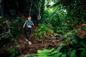 BIB: 
                            <button type="button" onclick="openModal(24783017)" class="btn btn-primary btn-sm float-right btn-popup" data-toggle="modal" data-target=".modal-high-quality">
                        <i class="fas fa-shopping-cart"></i> Add to Cart
                    </button>
                                            <button type="button" onclick="isThisMe(24783017, true)" class="btn btn-success btn-sm float-right btn-popup btn-isme hidden" data-toggle="tooltip" data-placement="bottom" title="นี่คือรูปของคุณใช่ไหม คลิกที่นี่เพื่อเอาเข้าอัลบั้ม">
                        <i class="fas fa-plus"></i> Add to album
                    </button>
                    <button type="button" onclick="isThisMe(24783017, false)" class="btn btn-warning btn-sm float-right btn-popup btn-isnotme hidden">
                        <i class="fas fa-ban"></i> Remove from album
                    </button>