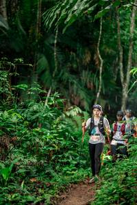 BIB: 350, 
                            <button type="button" onclick="openModal(24736081)" class="btn btn-primary btn-sm float-right btn-popup" data-toggle="modal" data-target=".modal-high-quality">
                        <i class="fas fa-shopping-cart"></i> Add to Cart
                    </button>
                                            <button type="button" onclick="isThisMe(24736081, true)" class="btn btn-success btn-sm float-right btn-popup btn-isme hidden" data-toggle="tooltip" data-placement="bottom" title="นี่คือรูปของคุณใช่ไหม คลิกที่นี่เพื่อเอาเข้าอัลบั้ม">
                        <i class="fas fa-plus"></i> Add to album
                    </button>
                    <button type="button" onclick="isThisMe(24736081, false)" class="btn btn-warning btn-sm float-right btn-popup btn-isnotme hidden">
                        <i class="fas fa-ban"></i> Remove from album
                    </button>