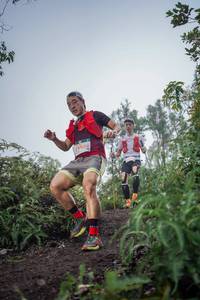 BIB: 5190
                            <button type="button" onclick="openModal(24807382)" class="btn btn-primary btn-sm float-right btn-popup" data-toggle="modal" data-target=".modal-high-quality">
                        <i class="fas fa-shopping-cart"></i> Add to Cart
                    </button>
                                            <button type="button" onclick="isThisMe(24807382, true)" class="btn btn-success btn-sm float-right btn-popup btn-isme hidden" data-toggle="tooltip" data-placement="bottom" title="นี่คือรูปของคุณใช่ไหม คลิกที่นี่เพื่อเอาเข้าอัลบั้ม">
                        <i class="fas fa-plus"></i> Add to album
                    </button>
                    <button type="button" onclick="isThisMe(24807382, false)" class="btn btn-warning btn-sm float-right btn-popup btn-isnotme hidden">
                        <i class="fas fa-ban"></i> Remove from album
                    </button>