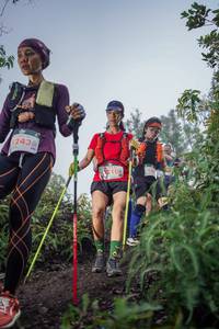 BIB: 243, 210, 
                            <button type="button" onclick="openModal(24808870)" class="btn btn-primary btn-sm float-right btn-popup" data-toggle="modal" data-target=".modal-high-quality">
                        <i class="fas fa-shopping-cart"></i> Add to Cart
                    </button>
                                            <button type="button" onclick="isThisMe(24808870, true)" class="btn btn-success btn-sm float-right btn-popup btn-isme hidden" data-toggle="tooltip" data-placement="bottom" title="นี่คือรูปของคุณใช่ไหม คลิกที่นี่เพื่อเอาเข้าอัลบั้ม">
                        <i class="fas fa-plus"></i> Add to album
                    </button>
                    <button type="button" onclick="isThisMe(24808870, false)" class="btn btn-warning btn-sm float-right btn-popup btn-isnotme hidden">
                        <i class="fas fa-ban"></i> Remove from album
                    </button>