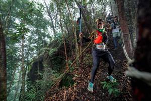 BIB: 5474
                            <button type="button" onclick="openModal(24753266)" class="btn btn-primary btn-sm float-right btn-popup" data-toggle="modal" data-target=".modal-high-quality">
                        <i class="fas fa-shopping-cart"></i> Add to Cart
                    </button>
                                            <button type="button" onclick="isThisMe(24753266, true)" class="btn btn-success btn-sm float-right btn-popup btn-isme hidden" data-toggle="tooltip" data-placement="bottom" title="นี่คือรูปของคุณใช่ไหม คลิกที่นี่เพื่อเอาเข้าอัลบั้ม">
                        <i class="fas fa-plus"></i> Add to album
                    </button>
                    <button type="button" onclick="isThisMe(24753266, false)" class="btn btn-warning btn-sm float-right btn-popup btn-isnotme hidden">
                        <i class="fas fa-ban"></i> Remove from album
                    </button>