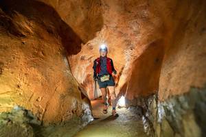 BIB: 1944
                            <button type="button" onclick="openModal(24757142)" class="btn btn-primary btn-sm float-right btn-popup" data-toggle="modal" data-target=".modal-high-quality">
                        <i class="fas fa-shopping-cart"></i> Add to Cart
                    </button>
                                            <button type="button" onclick="isThisMe(24757142, true)" class="btn btn-success btn-sm float-right btn-popup btn-isme hidden" data-toggle="tooltip" data-placement="bottom" title="นี่คือรูปของคุณใช่ไหม คลิกที่นี่เพื่อเอาเข้าอัลบั้ม">
                        <i class="fas fa-plus"></i> Add to album
                    </button>
                    <button type="button" onclick="isThisMe(24757142, false)" class="btn btn-warning btn-sm float-right btn-popup btn-isnotme hidden">
                        <i class="fas fa-ban"></i> Remove from album
                    </button>