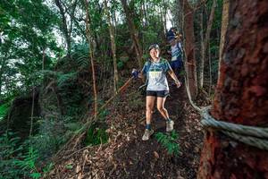 BIB: 
                            <button type="button" onclick="openModal(24753274)" class="btn btn-primary btn-sm float-right btn-popup" data-toggle="modal" data-target=".modal-high-quality">
                        <i class="fas fa-shopping-cart"></i> Add to Cart
                    </button>
                                            <button type="button" onclick="isThisMe(24753274, true)" class="btn btn-success btn-sm float-right btn-popup btn-isme hidden" data-toggle="tooltip" data-placement="bottom" title="นี่คือรูปของคุณใช่ไหม คลิกที่นี่เพื่อเอาเข้าอัลบั้ม">
                        <i class="fas fa-plus"></i> Add to album
                    </button>
                    <button type="button" onclick="isThisMe(24753274, false)" class="btn btn-warning btn-sm float-right btn-popup btn-isnotme hidden">
                        <i class="fas fa-ban"></i> Remove from album
                    </button>