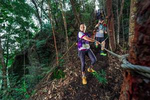 BIB: 
                            <button type="button" onclick="openModal(24753209)" class="btn btn-primary btn-sm float-right btn-popup" data-toggle="modal" data-target=".modal-high-quality">
                        <i class="fas fa-shopping-cart"></i> Add to Cart
                    </button>
                                            <button type="button" onclick="isThisMe(24753209, true)" class="btn btn-success btn-sm float-right btn-popup btn-isme hidden" data-toggle="tooltip" data-placement="bottom" title="นี่คือรูปของคุณใช่ไหม คลิกที่นี่เพื่อเอาเข้าอัลบั้ม">
                        <i class="fas fa-plus"></i> Add to album
                    </button>
                    <button type="button" onclick="isThisMe(24753209, false)" class="btn btn-warning btn-sm float-right btn-popup btn-isnotme hidden">
                        <i class="fas fa-ban"></i> Remove from album
                    </button>