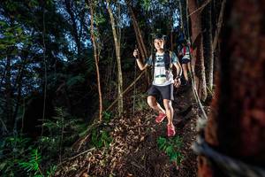 BIB: 
                            <button type="button" onclick="openModal(24750984)" class="btn btn-primary btn-sm float-right btn-popup" data-toggle="modal" data-target=".modal-high-quality">
                        <i class="fas fa-shopping-cart"></i> Add to Cart
                    </button>
                                            <button type="button" onclick="isThisMe(24750984, true)" class="btn btn-success btn-sm float-right btn-popup btn-isme hidden" data-toggle="tooltip" data-placement="bottom" title="นี่คือรูปของคุณใช่ไหม คลิกที่นี่เพื่อเอาเข้าอัลบั้ม">
                        <i class="fas fa-plus"></i> Add to album
                    </button>
                    <button type="button" onclick="isThisMe(24750984, false)" class="btn btn-warning btn-sm float-right btn-popup btn-isnotme hidden">
                        <i class="fas fa-ban"></i> Remove from album
                    </button>