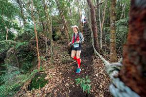 BIB: 
                            <button type="button" onclick="openModal(24754108)" class="btn btn-primary btn-sm float-right btn-popup" data-toggle="modal" data-target=".modal-high-quality">
                        <i class="fas fa-shopping-cart"></i> Add to Cart
                    </button>
                                            <button type="button" onclick="isThisMe(24754108, true)" class="btn btn-success btn-sm float-right btn-popup btn-isme hidden" data-toggle="tooltip" data-placement="bottom" title="นี่คือรูปของคุณใช่ไหม คลิกที่นี่เพื่อเอาเข้าอัลบั้ม">
                        <i class="fas fa-plus"></i> Add to album
                    </button>
                    <button type="button" onclick="isThisMe(24754108, false)" class="btn btn-warning btn-sm float-right btn-popup btn-isnotme hidden">
                        <i class="fas fa-ban"></i> Remove from album
                    </button>