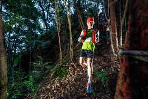 BIB: 
                            <button type="button" onclick="openModal(24751785)" class="btn btn-primary btn-sm float-right btn-popup" data-toggle="modal" data-target=".modal-high-quality">
                        <i class="fas fa-shopping-cart"></i> Add to Cart
                    </button>
                                            <button type="button" onclick="isThisMe(24751785, true)" class="btn btn-success btn-sm float-right btn-popup btn-isme hidden" data-toggle="tooltip" data-placement="bottom" title="นี่คือรูปของคุณใช่ไหม คลิกที่นี่เพื่อเอาเข้าอัลบั้ม">
                        <i class="fas fa-plus"></i> Add to album
                    </button>
                    <button type="button" onclick="isThisMe(24751785, false)" class="btn btn-warning btn-sm float-right btn-popup btn-isnotme hidden">
                        <i class="fas fa-ban"></i> Remove from album
                    </button>