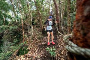 BIB: 
                            <button type="button" onclick="openModal(24753865)" class="btn btn-primary btn-sm float-right btn-popup" data-toggle="modal" data-target=".modal-high-quality">
                        <i class="fas fa-shopping-cart"></i> Add to Cart
                    </button>
                                            <button type="button" onclick="isThisMe(24753865, true)" class="btn btn-success btn-sm float-right btn-popup btn-isme hidden" data-toggle="tooltip" data-placement="bottom" title="นี่คือรูปของคุณใช่ไหม คลิกที่นี่เพื่อเอาเข้าอัลบั้ม">
                        <i class="fas fa-plus"></i> Add to album
                    </button>
                    <button type="button" onclick="isThisMe(24753865, false)" class="btn btn-warning btn-sm float-right btn-popup btn-isnotme hidden">
                        <i class="fas fa-ban"></i> Remove from album
                    </button>