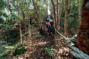 BIB: 
                            <button type="button" onclick="openModal(24754271)" class="btn btn-primary btn-sm float-right btn-popup" data-toggle="modal" data-target=".modal-high-quality">
                        <i class="fas fa-shopping-cart"></i> Add to Cart
                    </button>
                                            <button type="button" onclick="isThisMe(24754271, true)" class="btn btn-success btn-sm float-right btn-popup btn-isme hidden" data-toggle="tooltip" data-placement="bottom" title="นี่คือรูปของคุณใช่ไหม คลิกที่นี่เพื่อเอาเข้าอัลบั้ม">
                        <i class="fas fa-plus"></i> Add to album
                    </button>
                    <button type="button" onclick="isThisMe(24754271, false)" class="btn btn-warning btn-sm float-right btn-popup btn-isnotme hidden">
                        <i class="fas fa-ban"></i> Remove from album
                    </button>