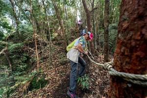 BIB: 
                            <button type="button" onclick="openModal(24755302)" class="btn btn-primary btn-sm float-right btn-popup" data-toggle="modal" data-target=".modal-high-quality">
                        <i class="fas fa-shopping-cart"></i> Add to Cart
                    </button>
                                            <button type="button" onclick="isThisMe(24755302, true)" class="btn btn-success btn-sm float-right btn-popup btn-isme hidden" data-toggle="tooltip" data-placement="bottom" title="นี่คือรูปของคุณใช่ไหม คลิกที่นี่เพื่อเอาเข้าอัลบั้ม">
                        <i class="fas fa-plus"></i> Add to album
                    </button>
                    <button type="button" onclick="isThisMe(24755302, false)" class="btn btn-warning btn-sm float-right btn-popup btn-isnotme hidden">
                        <i class="fas fa-ban"></i> Remove from album
                    </button>