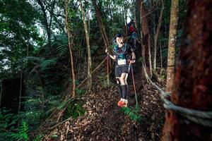 BIB: 
                            <button type="button" onclick="openModal(24752722)" class="btn btn-primary btn-sm float-right btn-popup" data-toggle="modal" data-target=".modal-high-quality">
                        <i class="fas fa-shopping-cart"></i> Add to Cart
                    </button>
                                            <button type="button" onclick="isThisMe(24752722, true)" class="btn btn-success btn-sm float-right btn-popup btn-isme hidden" data-toggle="tooltip" data-placement="bottom" title="นี่คือรูปของคุณใช่ไหม คลิกที่นี่เพื่อเอาเข้าอัลบั้ม">
                        <i class="fas fa-plus"></i> Add to album
                    </button>
                    <button type="button" onclick="isThisMe(24752722, false)" class="btn btn-warning btn-sm float-right btn-popup btn-isnotme hidden">
                        <i class="fas fa-ban"></i> Remove from album
                    </button>