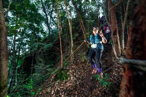 BIB: 
                            <button type="button" onclick="openModal(24752623)" class="btn btn-primary btn-sm float-right btn-popup" data-toggle="modal" data-target=".modal-high-quality">
                        <i class="fas fa-shopping-cart"></i> Add to Cart
                    </button>
                                            <button type="button" onclick="isThisMe(24752623, true)" class="btn btn-success btn-sm float-right btn-popup btn-isme hidden" data-toggle="tooltip" data-placement="bottom" title="นี่คือรูปของคุณใช่ไหม คลิกที่นี่เพื่อเอาเข้าอัลบั้ม">
                        <i class="fas fa-plus"></i> Add to album
                    </button>
                    <button type="button" onclick="isThisMe(24752623, false)" class="btn btn-warning btn-sm float-right btn-popup btn-isnotme hidden">
                        <i class="fas fa-ban"></i> Remove from album
                    </button>