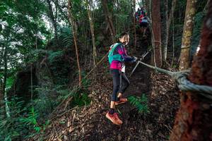 BIB: 
                            <button type="button" onclick="openModal(24753157)" class="btn btn-primary btn-sm float-right btn-popup" data-toggle="modal" data-target=".modal-high-quality">
                        <i class="fas fa-shopping-cart"></i> Add to Cart
                    </button>
                                            <button type="button" onclick="isThisMe(24753157, true)" class="btn btn-success btn-sm float-right btn-popup btn-isme hidden" data-toggle="tooltip" data-placement="bottom" title="นี่คือรูปของคุณใช่ไหม คลิกที่นี่เพื่อเอาเข้าอัลบั้ม">
                        <i class="fas fa-plus"></i> Add to album
                    </button>
                    <button type="button" onclick="isThisMe(24753157, false)" class="btn btn-warning btn-sm float-right btn-popup btn-isnotme hidden">
                        <i class="fas fa-ban"></i> Remove from album
                    </button>