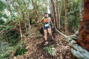 BIB: 
                            <button type="button" onclick="openModal(24754198)" class="btn btn-primary btn-sm float-right btn-popup" data-toggle="modal" data-target=".modal-high-quality">
                        <i class="fas fa-shopping-cart"></i> Add to Cart
                    </button>
                                            <button type="button" onclick="isThisMe(24754198, true)" class="btn btn-success btn-sm float-right btn-popup btn-isme hidden" data-toggle="tooltip" data-placement="bottom" title="นี่คือรูปของคุณใช่ไหม คลิกที่นี่เพื่อเอาเข้าอัลบั้ม">
                        <i class="fas fa-plus"></i> Add to album
                    </button>
                    <button type="button" onclick="isThisMe(24754198, false)" class="btn btn-warning btn-sm float-right btn-popup btn-isnotme hidden">
                        <i class="fas fa-ban"></i> Remove from album
                    </button>