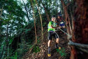 BIB: 
                            <button type="button" onclick="openModal(24752559)" class="btn btn-primary btn-sm float-right btn-popup" data-toggle="modal" data-target=".modal-high-quality">
                        <i class="fas fa-shopping-cart"></i> Add to Cart
                    </button>
                                            <button type="button" onclick="isThisMe(24752559, true)" class="btn btn-success btn-sm float-right btn-popup btn-isme hidden" data-toggle="tooltip" data-placement="bottom" title="นี่คือรูปของคุณใช่ไหม คลิกที่นี่เพื่อเอาเข้าอัลบั้ม">
                        <i class="fas fa-plus"></i> Add to album
                    </button>
                    <button type="button" onclick="isThisMe(24752559, false)" class="btn btn-warning btn-sm float-right btn-popup btn-isnotme hidden">
                        <i class="fas fa-ban"></i> Remove from album
                    </button>