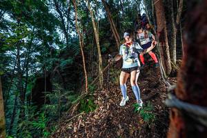 BIB: 
                            <button type="button" onclick="openModal(24751992)" class="btn btn-primary btn-sm float-right btn-popup" data-toggle="modal" data-target=".modal-high-quality">
                        <i class="fas fa-shopping-cart"></i> Add to Cart
                    </button>
                                            <button type="button" onclick="isThisMe(24751992, true)" class="btn btn-success btn-sm float-right btn-popup btn-isme hidden" data-toggle="tooltip" data-placement="bottom" title="นี่คือรูปของคุณใช่ไหม คลิกที่นี่เพื่อเอาเข้าอัลบั้ม">
                        <i class="fas fa-plus"></i> Add to album
                    </button>
                    <button type="button" onclick="isThisMe(24751992, false)" class="btn btn-warning btn-sm float-right btn-popup btn-isnotme hidden">
                        <i class="fas fa-ban"></i> Remove from album
                    </button>