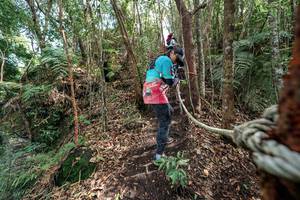 BIB: 
                            <button type="button" onclick="openModal(24754870)" class="btn btn-primary btn-sm float-right btn-popup" data-toggle="modal" data-target=".modal-high-quality">
                        <i class="fas fa-shopping-cart"></i> Add to Cart
                    </button>
                                            <button type="button" onclick="isThisMe(24754870, true)" class="btn btn-success btn-sm float-right btn-popup btn-isme hidden" data-toggle="tooltip" data-placement="bottom" title="นี่คือรูปของคุณใช่ไหม คลิกที่นี่เพื่อเอาเข้าอัลบั้ม">
                        <i class="fas fa-plus"></i> Add to album
                    </button>
                    <button type="button" onclick="isThisMe(24754870, false)" class="btn btn-warning btn-sm float-right btn-popup btn-isnotme hidden">
                        <i class="fas fa-ban"></i> Remove from album
                    </button>