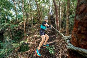 BIB: 
                            <button type="button" onclick="openModal(24754376)" class="btn btn-primary btn-sm float-right btn-popup" data-toggle="modal" data-target=".modal-high-quality">
                        <i class="fas fa-shopping-cart"></i> Add to Cart
                    </button>
                                            <button type="button" onclick="isThisMe(24754376, true)" class="btn btn-success btn-sm float-right btn-popup btn-isme hidden" data-toggle="tooltip" data-placement="bottom" title="นี่คือรูปของคุณใช่ไหม คลิกที่นี่เพื่อเอาเข้าอัลบั้ม">
                        <i class="fas fa-plus"></i> Add to album
                    </button>
                    <button type="button" onclick="isThisMe(24754376, false)" class="btn btn-warning btn-sm float-right btn-popup btn-isnotme hidden">
                        <i class="fas fa-ban"></i> Remove from album
                    </button>