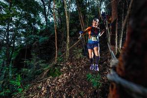 BIB: 
                            <button type="button" onclick="openModal(24752187)" class="btn btn-primary btn-sm float-right btn-popup" data-toggle="modal" data-target=".modal-high-quality">
                        <i class="fas fa-shopping-cart"></i> Add to Cart
                    </button>
                                            <button type="button" onclick="isThisMe(24752187, true)" class="btn btn-success btn-sm float-right btn-popup btn-isme hidden" data-toggle="tooltip" data-placement="bottom" title="นี่คือรูปของคุณใช่ไหม คลิกที่นี่เพื่อเอาเข้าอัลบั้ม">
                        <i class="fas fa-plus"></i> Add to album
                    </button>
                    <button type="button" onclick="isThisMe(24752187, false)" class="btn btn-warning btn-sm float-right btn-popup btn-isnotme hidden">
                        <i class="fas fa-ban"></i> Remove from album
                    </button>