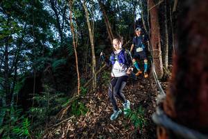 BIB: 
                            <button type="button" onclick="openModal(24751680)" class="btn btn-primary btn-sm float-right btn-popup" data-toggle="modal" data-target=".modal-high-quality">
                        <i class="fas fa-shopping-cart"></i> Add to Cart
                    </button>
                                            <button type="button" onclick="isThisMe(24751680, true)" class="btn btn-success btn-sm float-right btn-popup btn-isme hidden" data-toggle="tooltip" data-placement="bottom" title="นี่คือรูปของคุณใช่ไหม คลิกที่นี่เพื่อเอาเข้าอัลบั้ม">
                        <i class="fas fa-plus"></i> Add to album
                    </button>
                    <button type="button" onclick="isThisMe(24751680, false)" class="btn btn-warning btn-sm float-right btn-popup btn-isnotme hidden">
                        <i class="fas fa-ban"></i> Remove from album
                    </button>