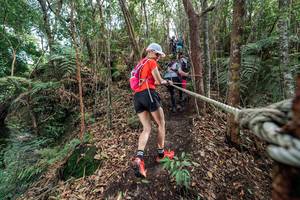 BIB: 
                            <button type="button" onclick="openModal(24754925)" class="btn btn-primary btn-sm float-right btn-popup" data-toggle="modal" data-target=".modal-high-quality">
                        <i class="fas fa-shopping-cart"></i> Add to Cart
                    </button>
                                            <button type="button" onclick="isThisMe(24754925, true)" class="btn btn-success btn-sm float-right btn-popup btn-isme hidden" data-toggle="tooltip" data-placement="bottom" title="นี่คือรูปของคุณใช่ไหม คลิกที่นี่เพื่อเอาเข้าอัลบั้ม">
                        <i class="fas fa-plus"></i> Add to album
                    </button>
                    <button type="button" onclick="isThisMe(24754925, false)" class="btn btn-warning btn-sm float-right btn-popup btn-isnotme hidden">
                        <i class="fas fa-ban"></i> Remove from album
                    </button>