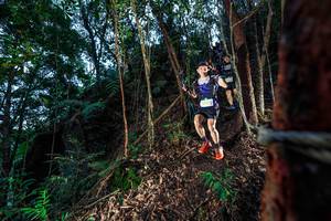 BIB: 
                            <button type="button" onclick="openModal(24751939)" class="btn btn-primary btn-sm float-right btn-popup" data-toggle="modal" data-target=".modal-high-quality">
                        <i class="fas fa-shopping-cart"></i> Add to Cart
                    </button>
                                            <button type="button" onclick="isThisMe(24751939, true)" class="btn btn-success btn-sm float-right btn-popup btn-isme hidden" data-toggle="tooltip" data-placement="bottom" title="นี่คือรูปของคุณใช่ไหม คลิกที่นี่เพื่อเอาเข้าอัลบั้ม">
                        <i class="fas fa-plus"></i> Add to album
                    </button>
                    <button type="button" onclick="isThisMe(24751939, false)" class="btn btn-warning btn-sm float-right btn-popup btn-isnotme hidden">
                        <i class="fas fa-ban"></i> Remove from album
                    </button>