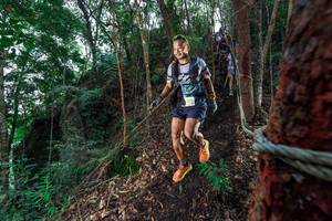 BIB: 
                            <button type="button" onclick="openModal(24753178)" class="btn btn-primary btn-sm float-right btn-popup" data-toggle="modal" data-target=".modal-high-quality">
                        <i class="fas fa-shopping-cart"></i> Add to Cart
                    </button>
                                            <button type="button" onclick="isThisMe(24753178, true)" class="btn btn-success btn-sm float-right btn-popup btn-isme hidden" data-toggle="tooltip" data-placement="bottom" title="นี่คือรูปของคุณใช่ไหม คลิกที่นี่เพื่อเอาเข้าอัลบั้ม">
                        <i class="fas fa-plus"></i> Add to album
                    </button>
                    <button type="button" onclick="isThisMe(24753178, false)" class="btn btn-warning btn-sm float-right btn-popup btn-isnotme hidden">
                        <i class="fas fa-ban"></i> Remove from album
                    </button>