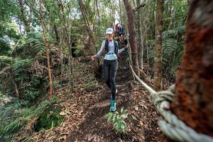 BIB: 
                            <button type="button" onclick="openModal(24755068)" class="btn btn-primary btn-sm float-right btn-popup" data-toggle="modal" data-target=".modal-high-quality">
                        <i class="fas fa-shopping-cart"></i> Add to Cart
                    </button>
                                            <button type="button" onclick="isThisMe(24755068, true)" class="btn btn-success btn-sm float-right btn-popup btn-isme hidden" data-toggle="tooltip" data-placement="bottom" title="นี่คือรูปของคุณใช่ไหม คลิกที่นี่เพื่อเอาเข้าอัลบั้ม">
                        <i class="fas fa-plus"></i> Add to album
                    </button>
                    <button type="button" onclick="isThisMe(24755068, false)" class="btn btn-warning btn-sm float-right btn-popup btn-isnotme hidden">
                        <i class="fas fa-ban"></i> Remove from album
                    </button>