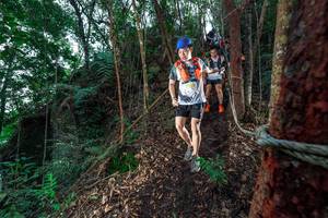 BIB: 
                            <button type="button" onclick="openModal(24753009)" class="btn btn-primary btn-sm float-right btn-popup" data-toggle="modal" data-target=".modal-high-quality">
                        <i class="fas fa-shopping-cart"></i> Add to Cart
                    </button>
                                            <button type="button" onclick="isThisMe(24753009, true)" class="btn btn-success btn-sm float-right btn-popup btn-isme hidden" data-toggle="tooltip" data-placement="bottom" title="นี่คือรูปของคุณใช่ไหม คลิกที่นี่เพื่อเอาเข้าอัลบั้ม">
                        <i class="fas fa-plus"></i> Add to album
                    </button>
                    <button type="button" onclick="isThisMe(24753009, false)" class="btn btn-warning btn-sm float-right btn-popup btn-isnotme hidden">
                        <i class="fas fa-ban"></i> Remove from album
                    </button>