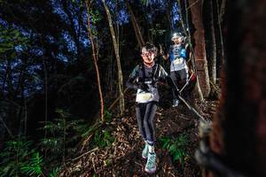 BIB: 
                            <button type="button" onclick="openModal(24750655)" class="btn btn-primary btn-sm float-right btn-popup" data-toggle="modal" data-target=".modal-high-quality">
                        <i class="fas fa-shopping-cart"></i> Add to Cart
                    </button>
                                            <button type="button" onclick="isThisMe(24750655, true)" class="btn btn-success btn-sm float-right btn-popup btn-isme hidden" data-toggle="tooltip" data-placement="bottom" title="นี่คือรูปของคุณใช่ไหม คลิกที่นี่เพื่อเอาเข้าอัลบั้ม">
                        <i class="fas fa-plus"></i> Add to album
                    </button>
                    <button type="button" onclick="isThisMe(24750655, false)" class="btn btn-warning btn-sm float-right btn-popup btn-isnotme hidden">
                        <i class="fas fa-ban"></i> Remove from album
                    </button>