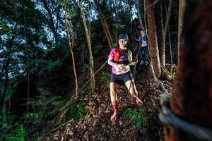 BIB: 
                            <button type="button" onclick="openModal(24751675)" class="btn btn-primary btn-sm float-right btn-popup" data-toggle="modal" data-target=".modal-high-quality">
                        <i class="fas fa-shopping-cart"></i> Add to Cart
                    </button>
                                            <button type="button" onclick="isThisMe(24751675, true)" class="btn btn-success btn-sm float-right btn-popup btn-isme hidden" data-toggle="tooltip" data-placement="bottom" title="นี่คือรูปของคุณใช่ไหม คลิกที่นี่เพื่อเอาเข้าอัลบั้ม">
                        <i class="fas fa-plus"></i> Add to album
                    </button>
                    <button type="button" onclick="isThisMe(24751675, false)" class="btn btn-warning btn-sm float-right btn-popup btn-isnotme hidden">
                        <i class="fas fa-ban"></i> Remove from album
                    </button>