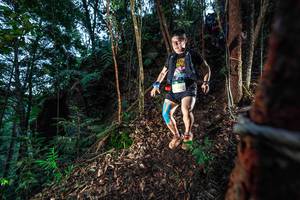 BIB: 
                            <button type="button" onclick="openModal(24752310)" class="btn btn-primary btn-sm float-right btn-popup" data-toggle="modal" data-target=".modal-high-quality">
                        <i class="fas fa-shopping-cart"></i> Add to Cart
                    </button>
                                            <button type="button" onclick="isThisMe(24752310, true)" class="btn btn-success btn-sm float-right btn-popup btn-isme hidden" data-toggle="tooltip" data-placement="bottom" title="นี่คือรูปของคุณใช่ไหม คลิกที่นี่เพื่อเอาเข้าอัลบั้ม">
                        <i class="fas fa-plus"></i> Add to album
                    </button>
                    <button type="button" onclick="isThisMe(24752310, false)" class="btn btn-warning btn-sm float-right btn-popup btn-isnotme hidden">
                        <i class="fas fa-ban"></i> Remove from album
                    </button>