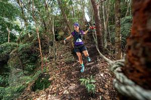 BIB: 
                            <button type="button" onclick="openModal(24753939)" class="btn btn-primary btn-sm float-right btn-popup" data-toggle="modal" data-target=".modal-high-quality">
                        <i class="fas fa-shopping-cart"></i> Add to Cart
                    </button>
                                            <button type="button" onclick="isThisMe(24753939, true)" class="btn btn-success btn-sm float-right btn-popup btn-isme hidden" data-toggle="tooltip" data-placement="bottom" title="นี่คือรูปของคุณใช่ไหม คลิกที่นี่เพื่อเอาเข้าอัลบั้ม">
                        <i class="fas fa-plus"></i> Add to album
                    </button>
                    <button type="button" onclick="isThisMe(24753939, false)" class="btn btn-warning btn-sm float-right btn-popup btn-isnotme hidden">
                        <i class="fas fa-ban"></i> Remove from album
                    </button>