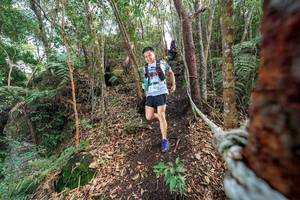 BIB: 
                            <button type="button" onclick="openModal(24754095)" class="btn btn-primary btn-sm float-right btn-popup" data-toggle="modal" data-target=".modal-high-quality">
                        <i class="fas fa-shopping-cart"></i> Add to Cart
                    </button>
                                            <button type="button" onclick="isThisMe(24754095, true)" class="btn btn-success btn-sm float-right btn-popup btn-isme hidden" data-toggle="tooltip" data-placement="bottom" title="นี่คือรูปของคุณใช่ไหม คลิกที่นี่เพื่อเอาเข้าอัลบั้ม">
                        <i class="fas fa-plus"></i> Add to album
                    </button>
                    <button type="button" onclick="isThisMe(24754095, false)" class="btn btn-warning btn-sm float-right btn-popup btn-isnotme hidden">
                        <i class="fas fa-ban"></i> Remove from album
                    </button>