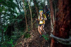 BIB: 
                            <button type="button" onclick="openModal(24752693)" class="btn btn-primary btn-sm float-right btn-popup" data-toggle="modal" data-target=".modal-high-quality">
                        <i class="fas fa-shopping-cart"></i> Add to Cart
                    </button>
                                            <button type="button" onclick="isThisMe(24752693, true)" class="btn btn-success btn-sm float-right btn-popup btn-isme hidden" data-toggle="tooltip" data-placement="bottom" title="นี่คือรูปของคุณใช่ไหม คลิกที่นี่เพื่อเอาเข้าอัลบั้ม">
                        <i class="fas fa-plus"></i> Add to album
                    </button>
                    <button type="button" onclick="isThisMe(24752693, false)" class="btn btn-warning btn-sm float-right btn-popup btn-isnotme hidden">
                        <i class="fas fa-ban"></i> Remove from album
                    </button>