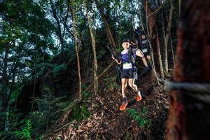 BIB: 
                            <button type="button" onclick="openModal(24751940)" class="btn btn-primary btn-sm float-right btn-popup" data-toggle="modal" data-target=".modal-high-quality">
                        <i class="fas fa-shopping-cart"></i> Add to Cart
                    </button>
                                            <button type="button" onclick="isThisMe(24751940, true)" class="btn btn-success btn-sm float-right btn-popup btn-isme hidden" data-toggle="tooltip" data-placement="bottom" title="นี่คือรูปของคุณใช่ไหม คลิกที่นี่เพื่อเอาเข้าอัลบั้ม">
                        <i class="fas fa-plus"></i> Add to album
                    </button>
                    <button type="button" onclick="isThisMe(24751940, false)" class="btn btn-warning btn-sm float-right btn-popup btn-isnotme hidden">
                        <i class="fas fa-ban"></i> Remove from album
                    </button>