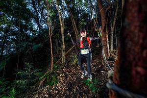 BIB: 2260
                            <button type="button" onclick="openModal(24751486)" class="btn btn-primary btn-sm float-right btn-popup" data-toggle="modal" data-target=".modal-high-quality">
                        <i class="fas fa-shopping-cart"></i> Add to Cart
                    </button>
                                            <button type="button" onclick="isThisMe(24751486, true)" class="btn btn-success btn-sm float-right btn-popup btn-isme hidden" data-toggle="tooltip" data-placement="bottom" title="นี่คือรูปของคุณใช่ไหม คลิกที่นี่เพื่อเอาเข้าอัลบั้ม">
                        <i class="fas fa-plus"></i> Add to album
                    </button>
                    <button type="button" onclick="isThisMe(24751486, false)" class="btn btn-warning btn-sm float-right btn-popup btn-isnotme hidden">
                        <i class="fas fa-ban"></i> Remove from album
                    </button>