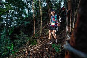 BIB: 
                            <button type="button" onclick="openModal(24752170)" class="btn btn-primary btn-sm float-right btn-popup" data-toggle="modal" data-target=".modal-high-quality">
                        <i class="fas fa-shopping-cart"></i> Add to Cart
                    </button>
                                            <button type="button" onclick="isThisMe(24752170, true)" class="btn btn-success btn-sm float-right btn-popup btn-isme hidden" data-toggle="tooltip" data-placement="bottom" title="นี่คือรูปของคุณใช่ไหม คลิกที่นี่เพื่อเอาเข้าอัลบั้ม">
                        <i class="fas fa-plus"></i> Add to album
                    </button>
                    <button type="button" onclick="isThisMe(24752170, false)" class="btn btn-warning btn-sm float-right btn-popup btn-isnotme hidden">
                        <i class="fas fa-ban"></i> Remove from album
                    </button>