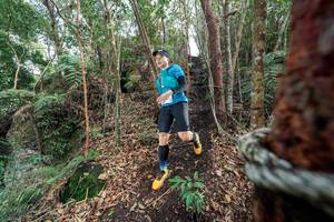 BIB: 
                            <button type="button" onclick="openModal(24753806)" class="btn btn-primary btn-sm float-right btn-popup" data-toggle="modal" data-target=".modal-high-quality">
                        <i class="fas fa-shopping-cart"></i> Add to Cart
                    </button>
                                            <button type="button" onclick="isThisMe(24753806, true)" class="btn btn-success btn-sm float-right btn-popup btn-isme hidden" data-toggle="tooltip" data-placement="bottom" title="นี่คือรูปของคุณใช่ไหม คลิกที่นี่เพื่อเอาเข้าอัลบั้ม">
                        <i class="fas fa-plus"></i> Add to album
                    </button>
                    <button type="button" onclick="isThisMe(24753806, false)" class="btn btn-warning btn-sm float-right btn-popup btn-isnotme hidden">
                        <i class="fas fa-ban"></i> Remove from album
                    </button>