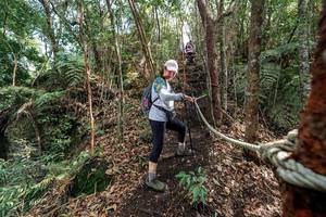 BIB: 
                            <button type="button" onclick="openModal(24755308)" class="btn btn-primary btn-sm float-right btn-popup" data-toggle="modal" data-target=".modal-high-quality">
                        <i class="fas fa-shopping-cart"></i> Add to Cart
                    </button>
                                            <button type="button" onclick="isThisMe(24755308, true)" class="btn btn-success btn-sm float-right btn-popup btn-isme hidden" data-toggle="tooltip" data-placement="bottom" title="นี่คือรูปของคุณใช่ไหม คลิกที่นี่เพื่อเอาเข้าอัลบั้ม">
                        <i class="fas fa-plus"></i> Add to album
                    </button>
                    <button type="button" onclick="isThisMe(24755308, false)" class="btn btn-warning btn-sm float-right btn-popup btn-isnotme hidden">
                        <i class="fas fa-ban"></i> Remove from album
                    </button>