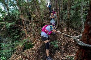 BIB: 
                            <button type="button" onclick="openModal(24755319)" class="btn btn-primary btn-sm float-right btn-popup" data-toggle="modal" data-target=".modal-high-quality">
                        <i class="fas fa-shopping-cart"></i> Add to Cart
                    </button>
                                            <button type="button" onclick="isThisMe(24755319, true)" class="btn btn-success btn-sm float-right btn-popup btn-isme hidden" data-toggle="tooltip" data-placement="bottom" title="นี่คือรูปของคุณใช่ไหม คลิกที่นี่เพื่อเอาเข้าอัลบั้ม">
                        <i class="fas fa-plus"></i> Add to album
                    </button>
                    <button type="button" onclick="isThisMe(24755319, false)" class="btn btn-warning btn-sm float-right btn-popup btn-isnotme hidden">
                        <i class="fas fa-ban"></i> Remove from album
                    </button>