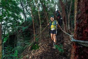 BIB: 
                            <button type="button" onclick="openModal(24753064)" class="btn btn-primary btn-sm float-right btn-popup" data-toggle="modal" data-target=".modal-high-quality">
                        <i class="fas fa-shopping-cart"></i> Add to Cart
                    </button>
                                            <button type="button" onclick="isThisMe(24753064, true)" class="btn btn-success btn-sm float-right btn-popup btn-isme hidden" data-toggle="tooltip" data-placement="bottom" title="นี่คือรูปของคุณใช่ไหม คลิกที่นี่เพื่อเอาเข้าอัลบั้ม">
                        <i class="fas fa-plus"></i> Add to album
                    </button>
                    <button type="button" onclick="isThisMe(24753064, false)" class="btn btn-warning btn-sm float-right btn-popup btn-isnotme hidden">
                        <i class="fas fa-ban"></i> Remove from album
                    </button>