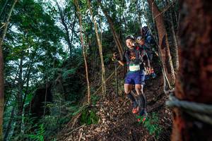 BIB: 
                            <button type="button" onclick="openModal(24752557)" class="btn btn-primary btn-sm float-right btn-popup" data-toggle="modal" data-target=".modal-high-quality">
                        <i class="fas fa-shopping-cart"></i> Add to Cart
                    </button>
                                            <button type="button" onclick="isThisMe(24752557, true)" class="btn btn-success btn-sm float-right btn-popup btn-isme hidden" data-toggle="tooltip" data-placement="bottom" title="นี่คือรูปของคุณใช่ไหม คลิกที่นี่เพื่อเอาเข้าอัลบั้ม">
                        <i class="fas fa-plus"></i> Add to album
                    </button>
                    <button type="button" onclick="isThisMe(24752557, false)" class="btn btn-warning btn-sm float-right btn-popup btn-isnotme hidden">
                        <i class="fas fa-ban"></i> Remove from album
                    </button>