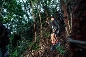 BIB: 
                            <button type="button" onclick="openModal(24752567)" class="btn btn-primary btn-sm float-right btn-popup" data-toggle="modal" data-target=".modal-high-quality">
                        <i class="fas fa-shopping-cart"></i> Add to Cart
                    </button>
                                            <button type="button" onclick="isThisMe(24752567, true)" class="btn btn-success btn-sm float-right btn-popup btn-isme hidden" data-toggle="tooltip" data-placement="bottom" title="นี่คือรูปของคุณใช่ไหม คลิกที่นี่เพื่อเอาเข้าอัลบั้ม">
                        <i class="fas fa-plus"></i> Add to album
                    </button>
                    <button type="button" onclick="isThisMe(24752567, false)" class="btn btn-warning btn-sm float-right btn-popup btn-isnotme hidden">
                        <i class="fas fa-ban"></i> Remove from album
                    </button>